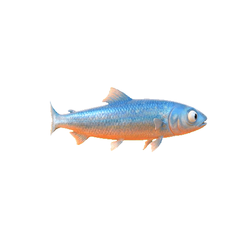Prey